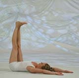 The evolutionary transformation of the body