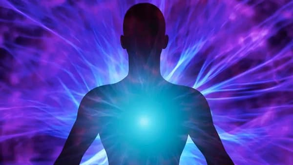 What the Soul Sees, It Knows