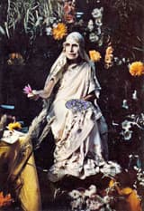 Flower remedies with significances from the Mother (II)