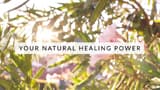 Natural healing — in theory and practice