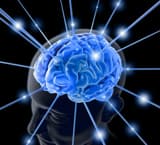 Absent-mindedness, instinctive and wilful actions