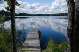 The Need of Quietude