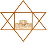 Integral Yoga / bio-energetic healing system