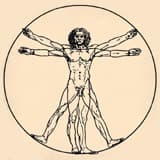 Evolution Next — IX