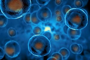 Meditations on the current pandemic